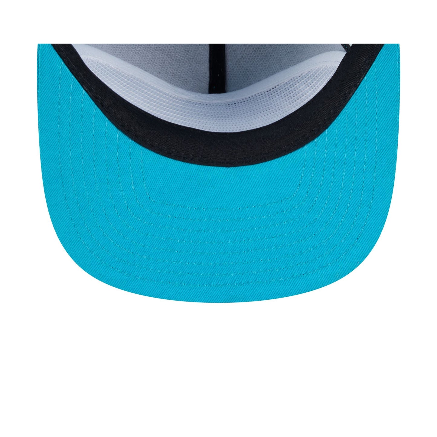 Charlotte Hornets Team Text Golfer Hat