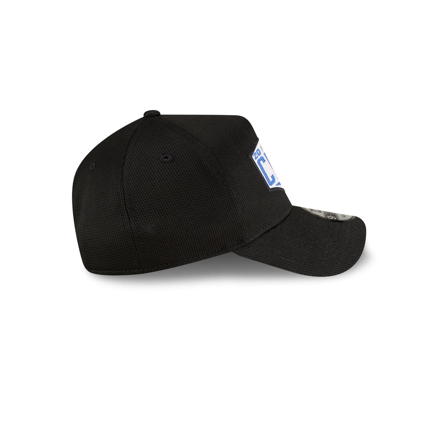 Detroit Lions 2024 Division Champion Locker Room 9FORTY A-Frame Snapback Hat