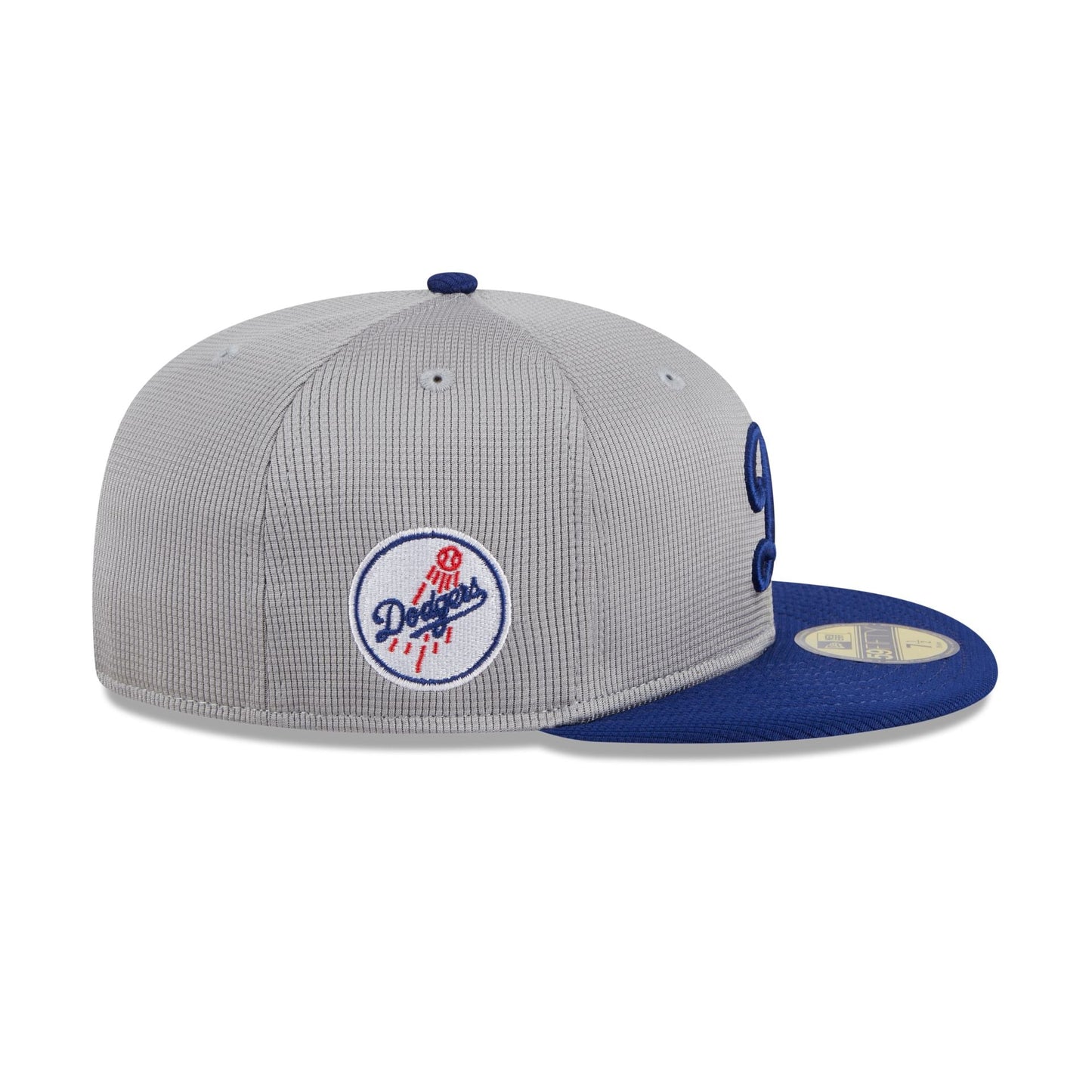 Los Angeles Dodgers 2025 Batting Practice Gray 59FIFTY Fitted