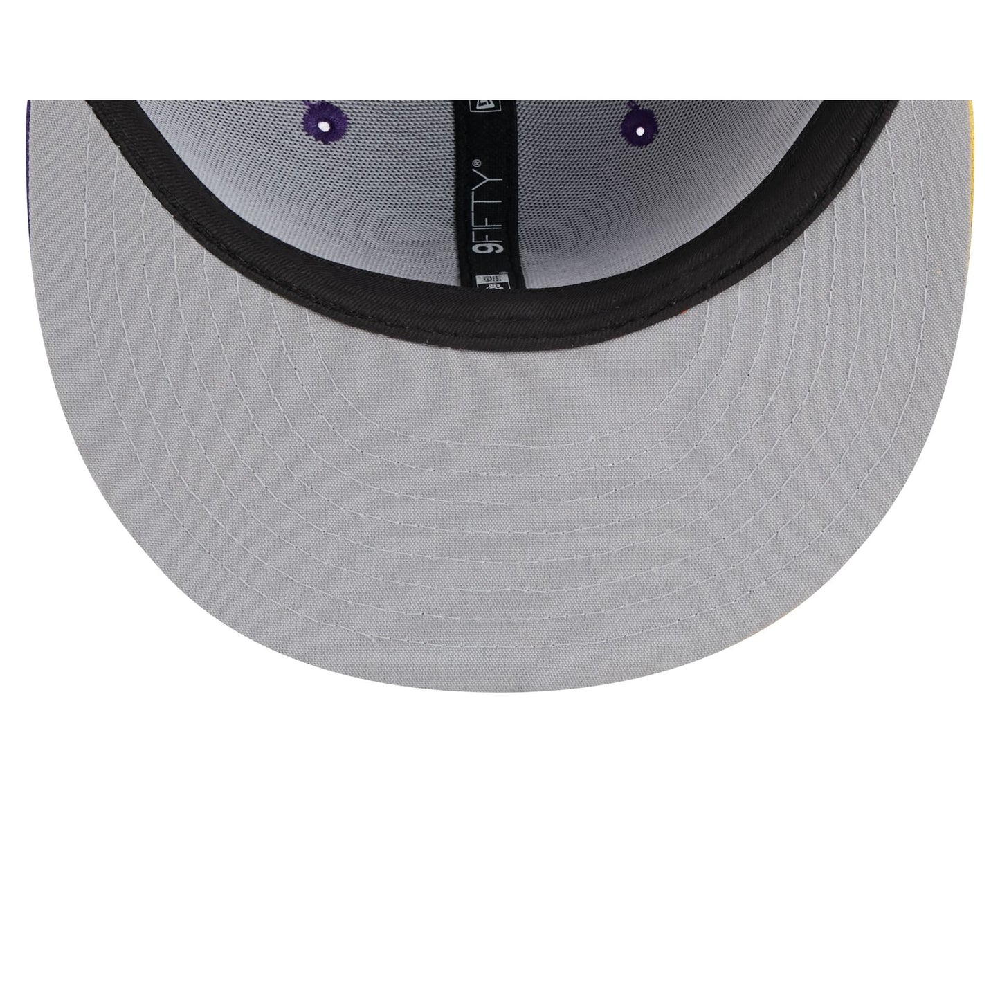 Los Angeles Lakers Lebron James 9FIFTY Snapback Hat