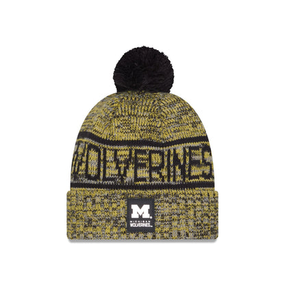 Michigan Wolverines Cold Weather Pom Knit Hat