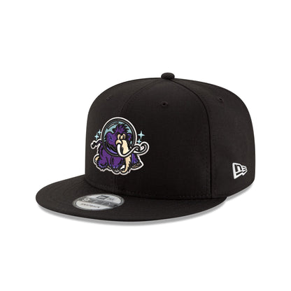 Erie Moon Mammoths 9FIFTY Snapback Hat