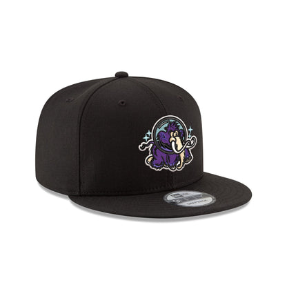 Erie Moon Mammoths 9FIFTY Snapback Hat