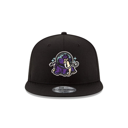 Erie Moon Mammoths 9FIFTY Snapback Hat