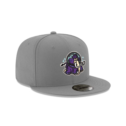 Erie Moon Mammoths Gray 9FIFTY Snapback Hat